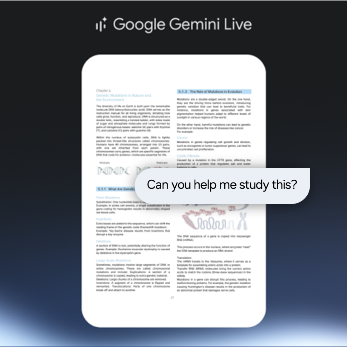 Gemini function
